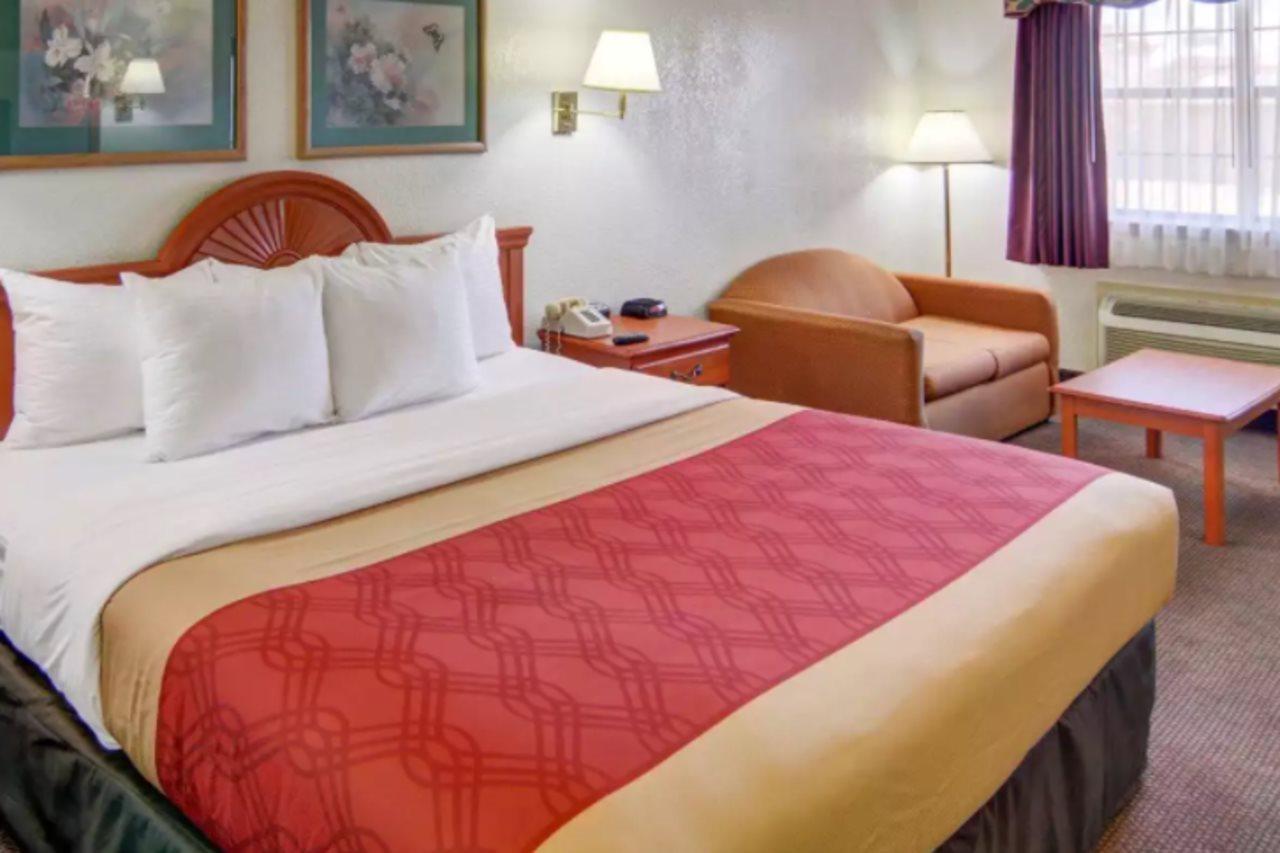 מלון Super 8 By Wyndham Decatur Texas מראה חיצוני תמונה